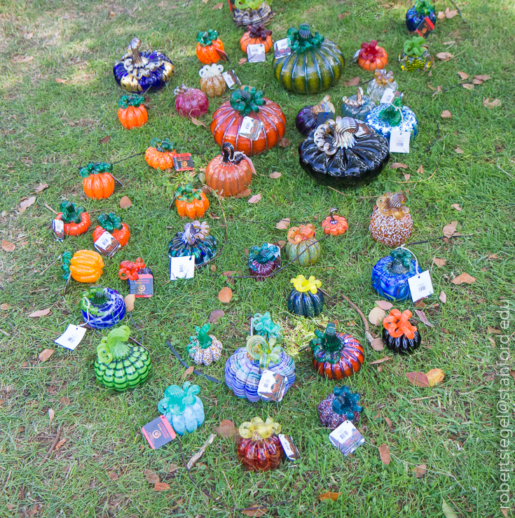 palo alto glass pumpkin show